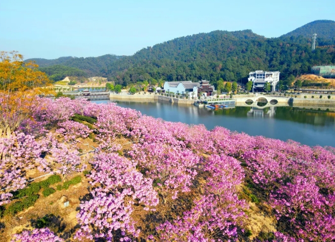 鴻業(yè)集團(tuán)鴻園花海歡迎您！